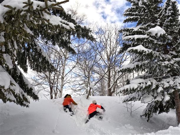 雪国ならではの体験♪