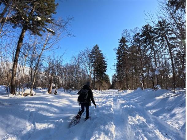 北海道の自然を満喫♪