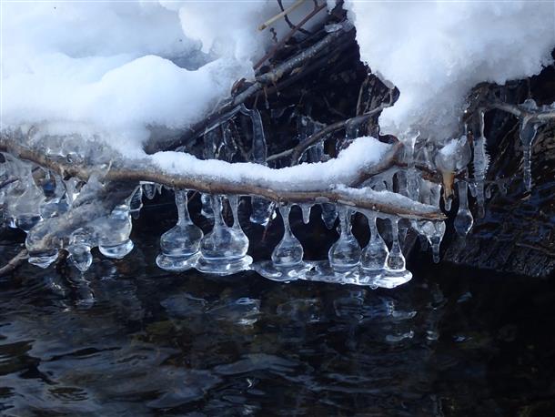 神秘的な自然の芸術