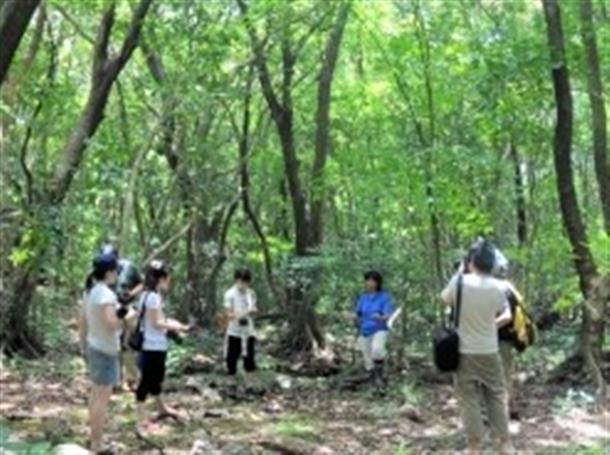 ラムサール条約登録湿地「ニブチの森」
