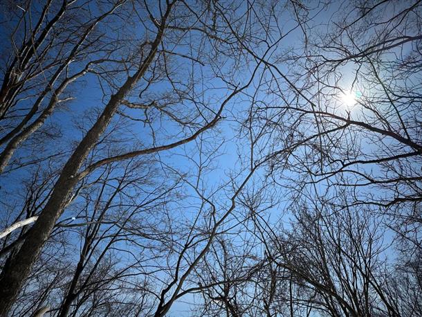 初心者でも安心！