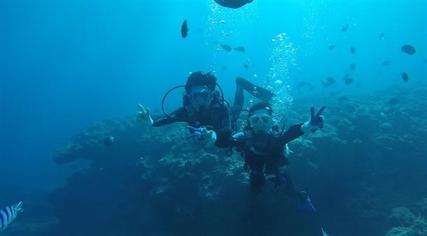 安心、丁寧説明。