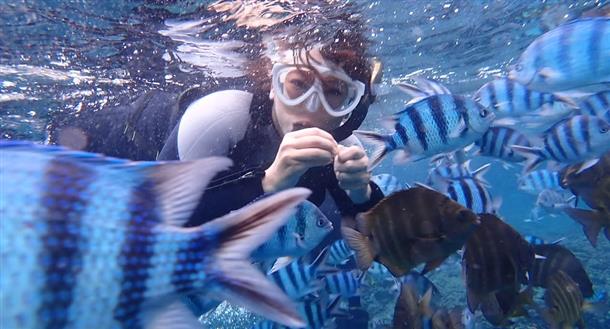 お子様も大喜び