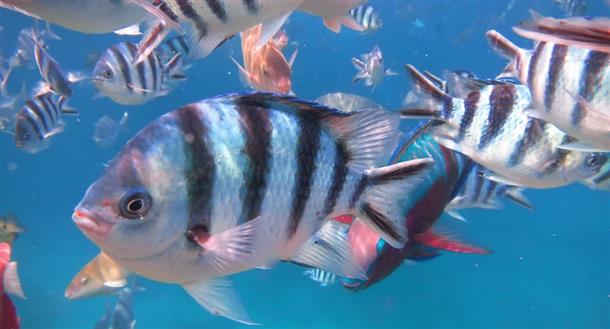 安心、丁寧説明。