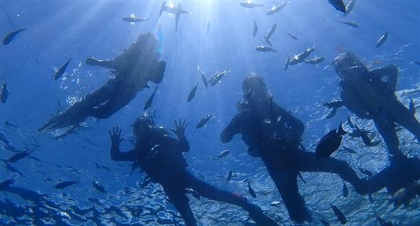 お子様も大喜び