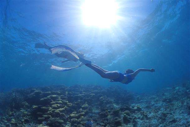 八重干瀬でサンゴ礁の海を贅沢に味わおう！