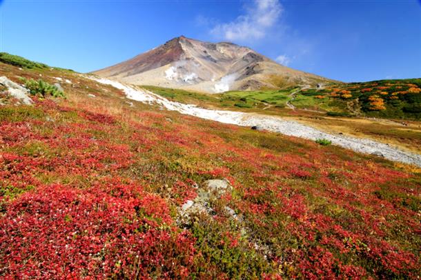 「日本の百名山」に選ばれた旭岳へ！