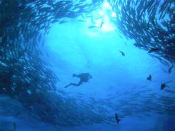 粟国の海を満喫