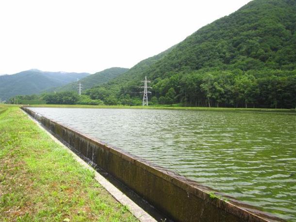 山間の田んぼに使う水の貯水池です！