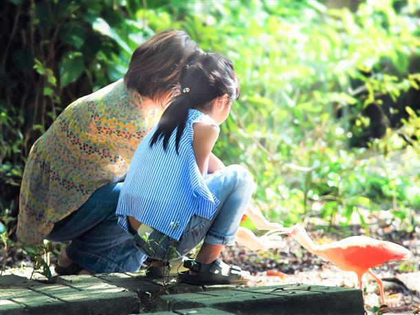 アマゾンのジャングルを再現