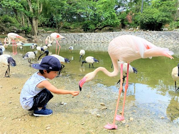 日本最大級のフライングゲージ