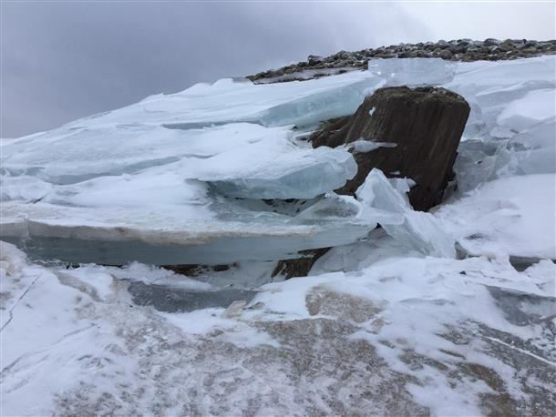 北海道の大自然を全身で体感してください。