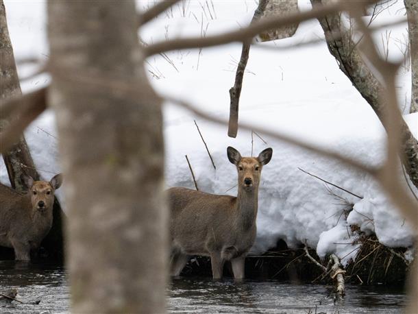 生き物との出会いも♪