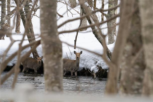北海道の自然を満喫♪
