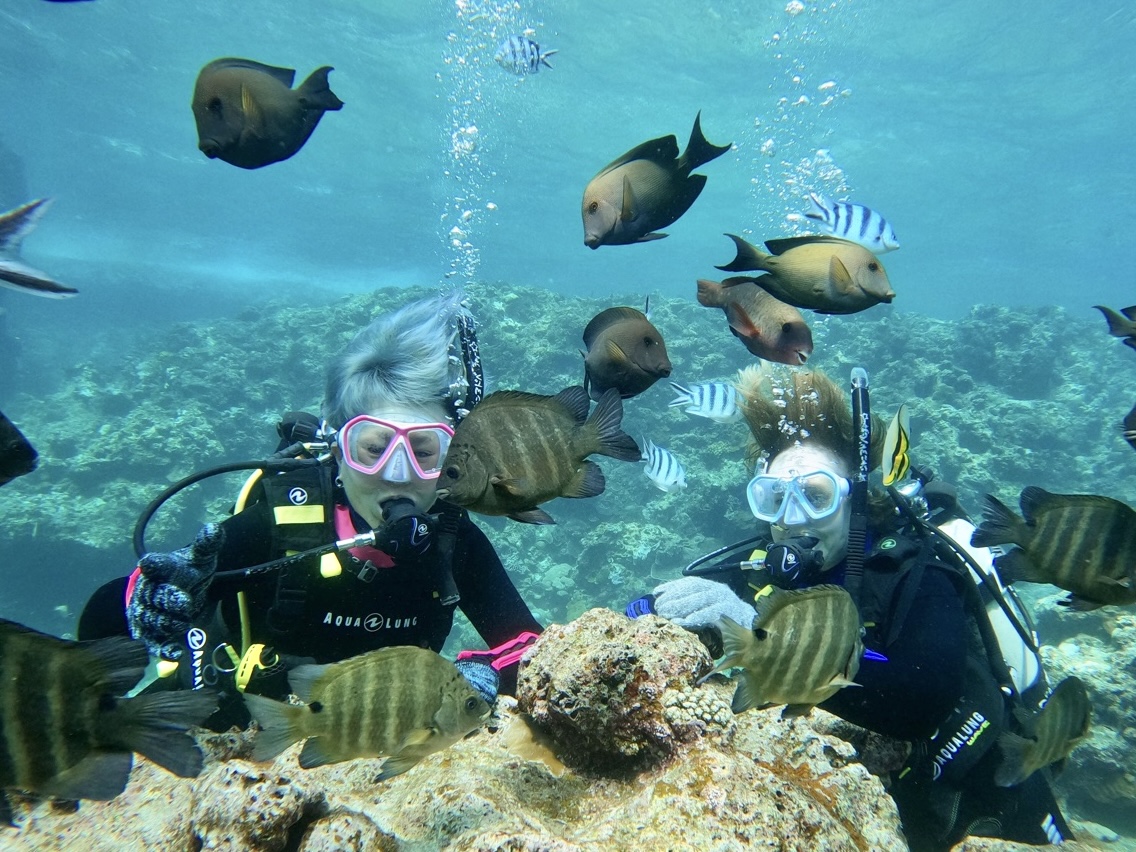 人懐こい魚達