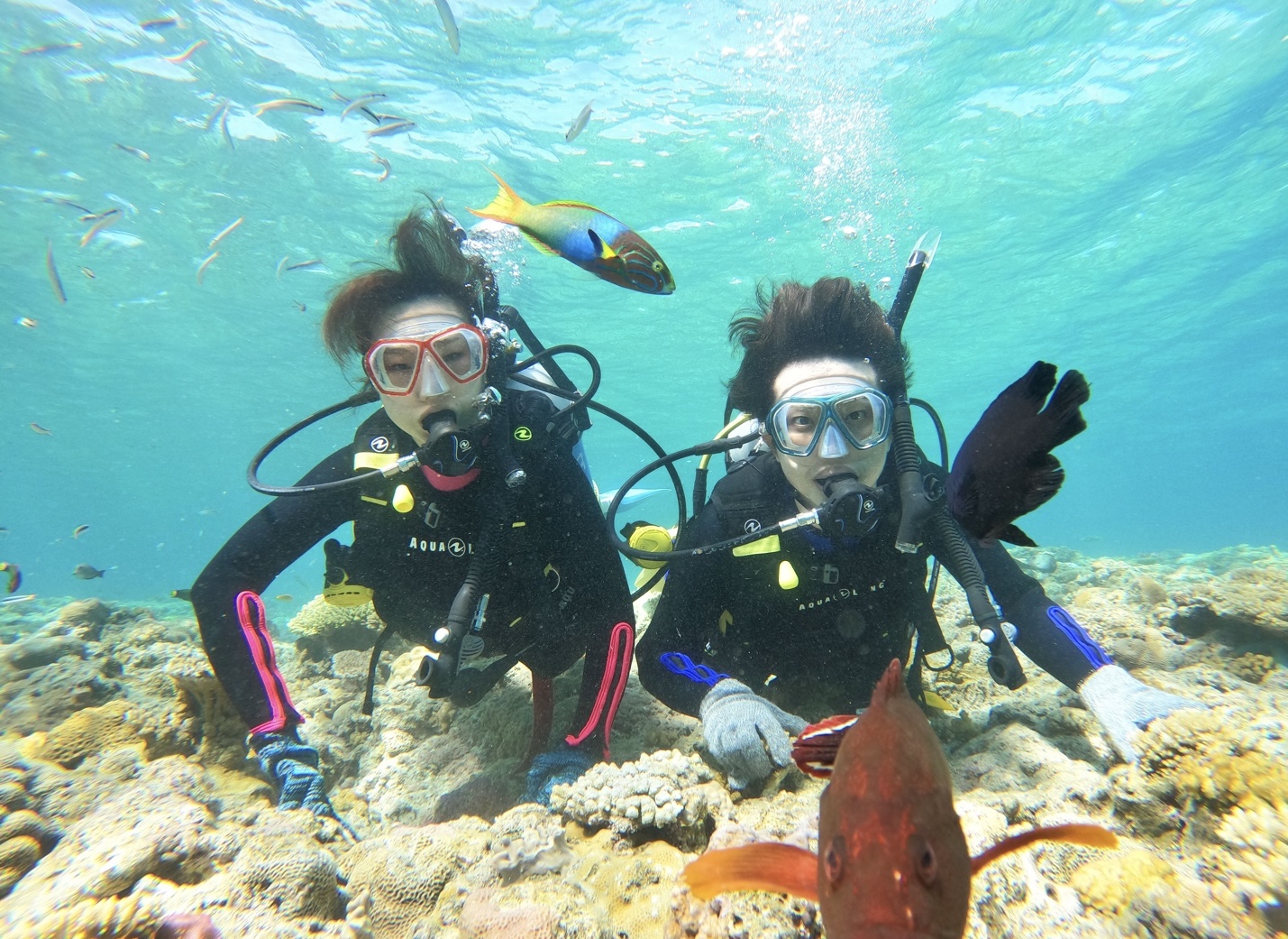 瀬底や水納のカラフルなお魚たちのお出迎え
