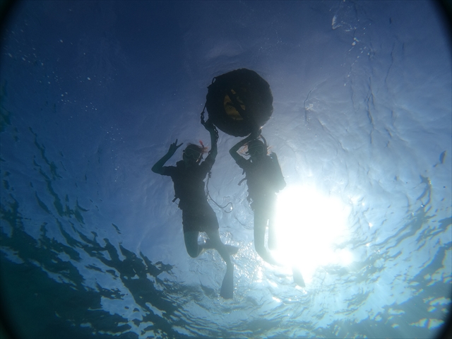 透明度の高い瀬底島の海