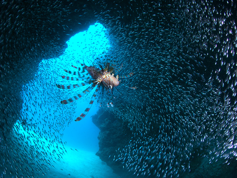 ダイナミックな地形ポイントも大人気♪