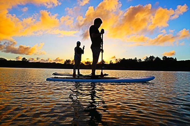 ガイドがしっかりご案内