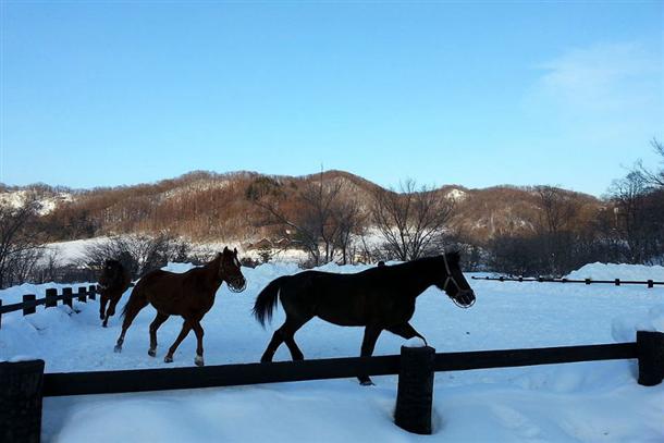 青の洞窟は2回入ります！たっぷり満喫！