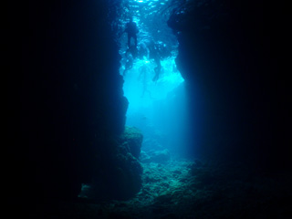 画像4のキャプション4