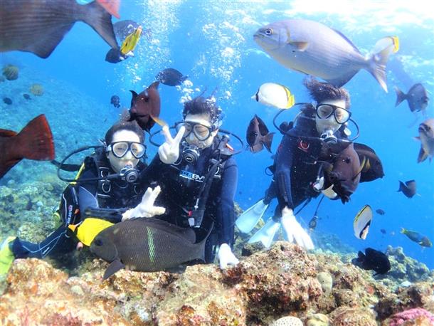 熱帯魚ポイント体験ダイビング