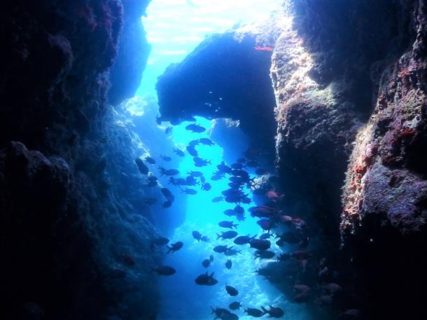 真栄田岬ポイント