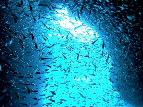 地形ポイントも多数あります