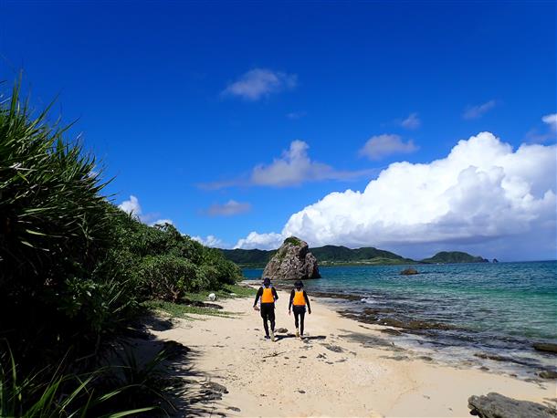 貸切ちゅら海カヤックツアー体験