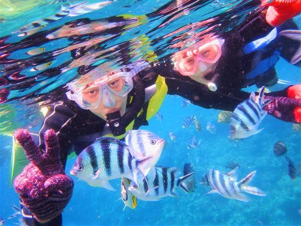 たくさんの魚達に囲まれましょう！