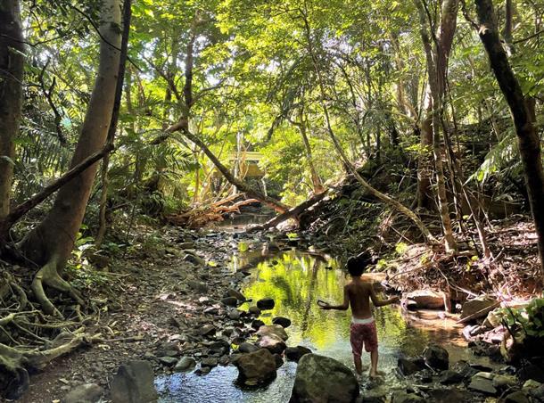 リバートレッキングで探検も！