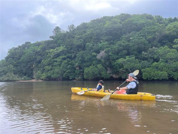 マングローブの木々を通り抜けるクルーズ