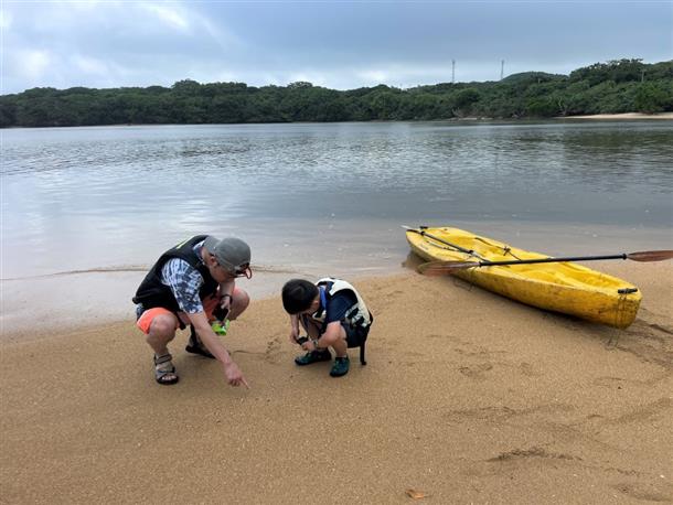 ビーチに上陸して生き物探しも♪