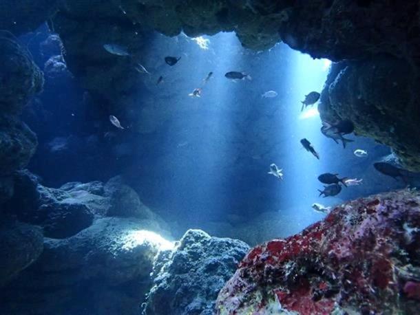 ファンダイビング