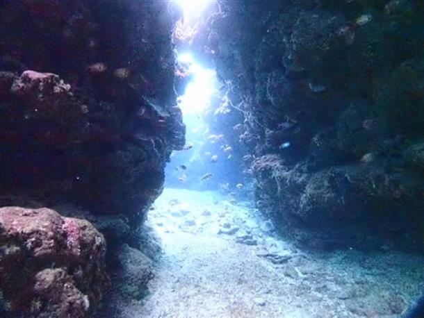 ファンダイビング