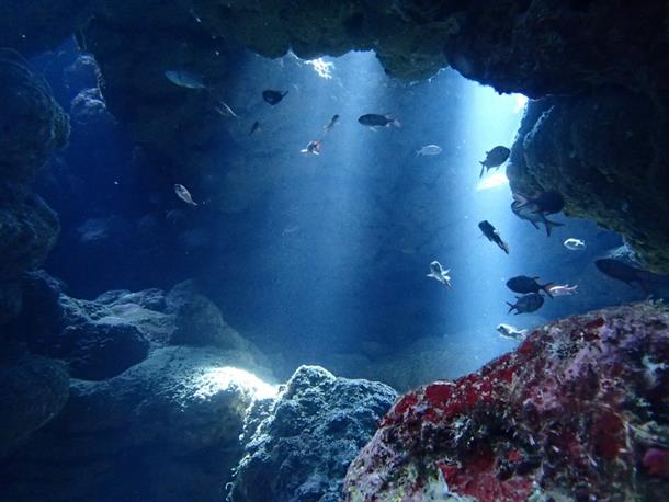 ファンダイビング