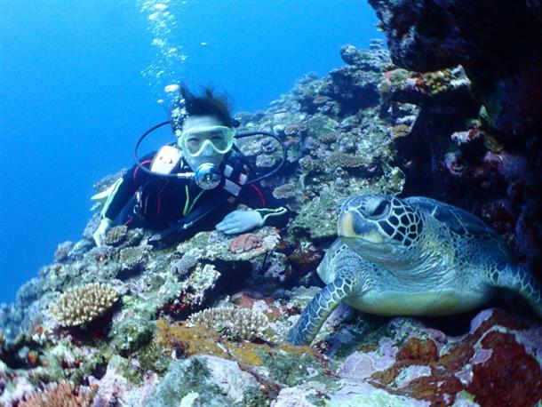 ファンダイビング