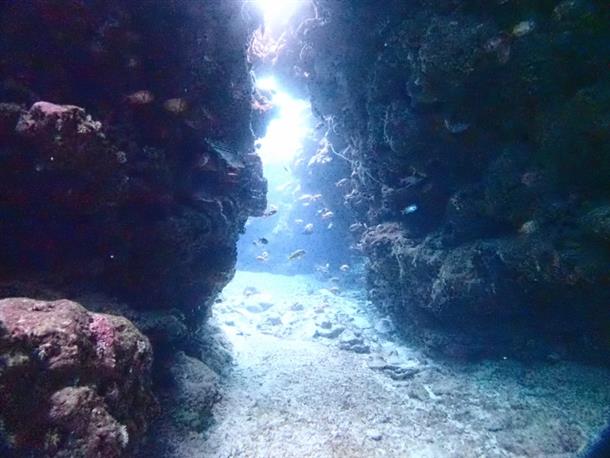 ファンダイビング