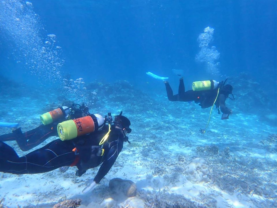 ニモちゃんにも会えるかも！