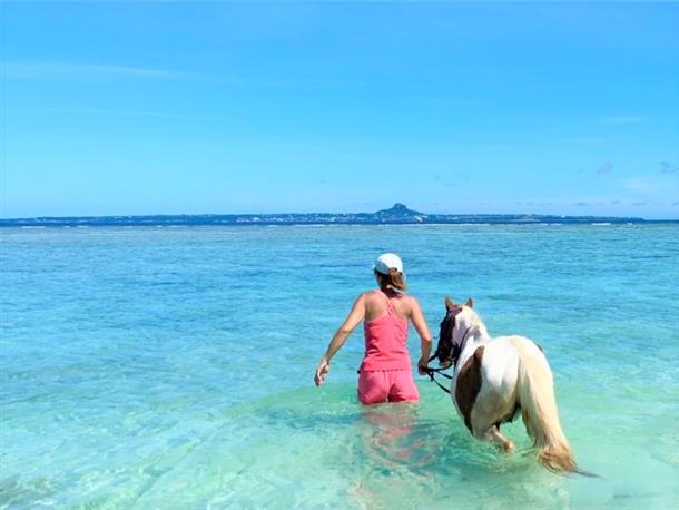 ビーチホーストレッキング