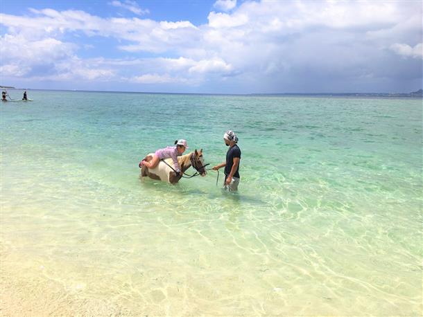 ビーチホーストレッキング