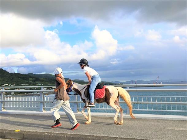 1日ファームステイ体験