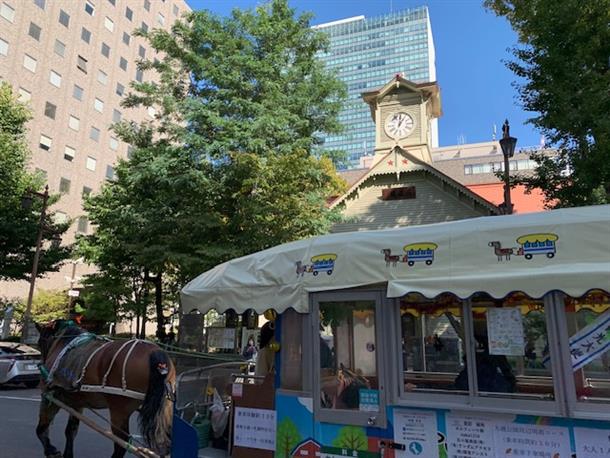 馬車で観光名所を訪れる！