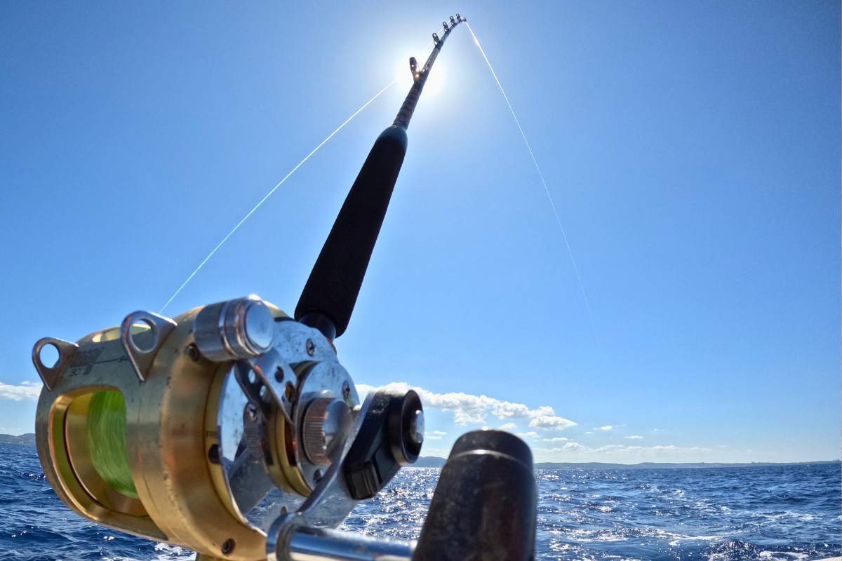 選べる2コース（4時間／7時間）