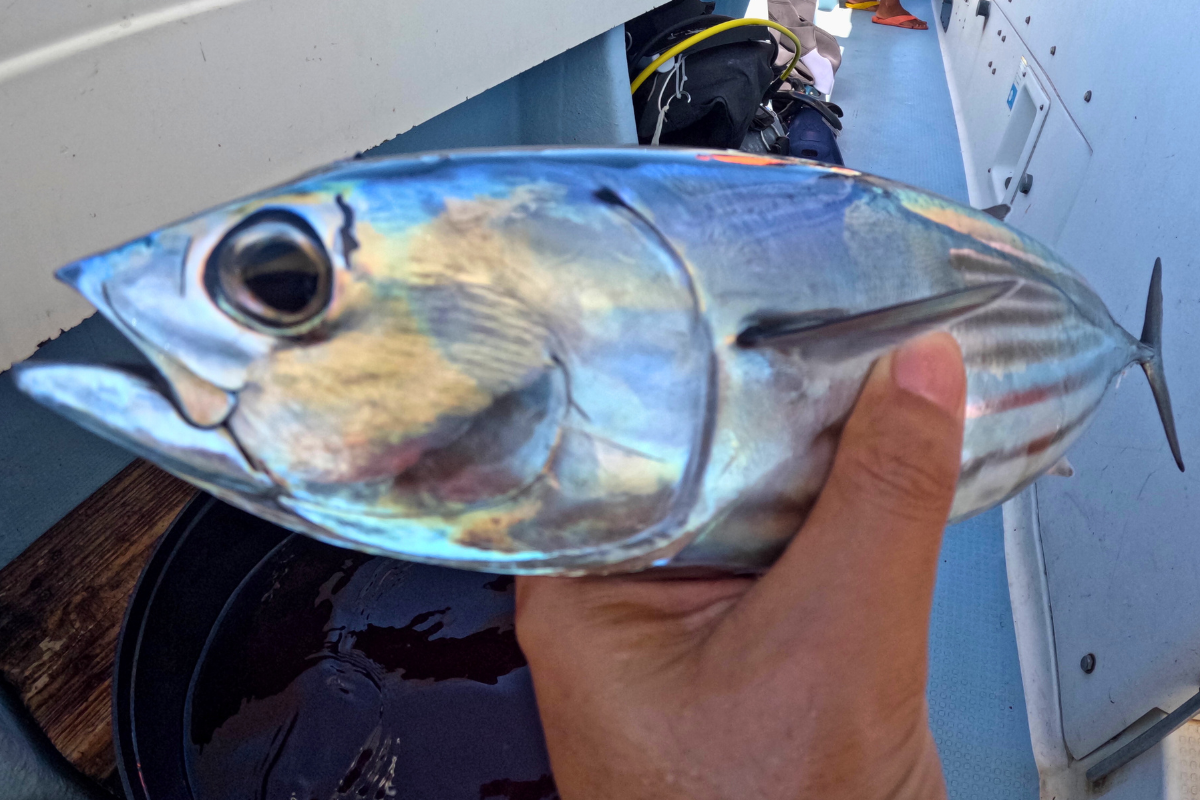 釣りが初めての方も大歓迎！