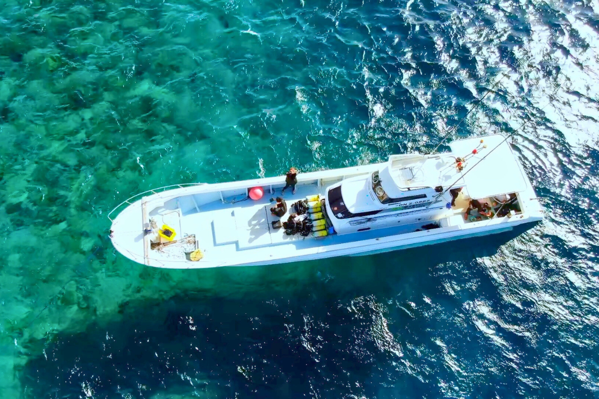 恩納村（真栄田漁港）から出航します