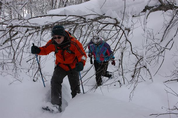 動物の足跡をたどって滝をめざします。