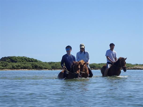 夏限定の与那国島らしい特別ツアー！
