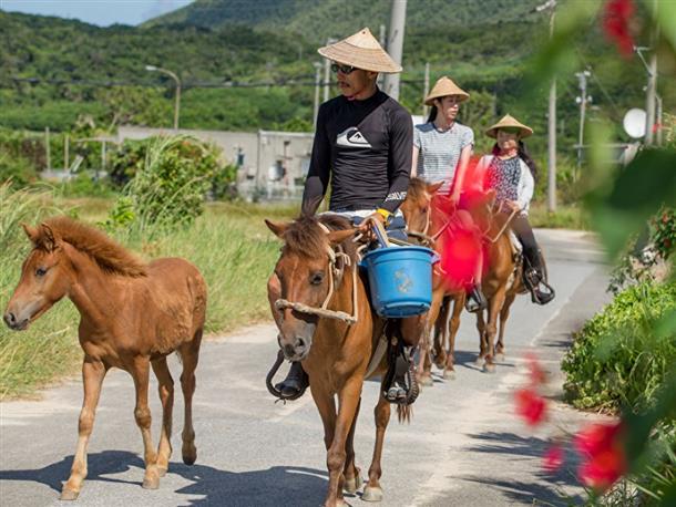 与那国島の風を感じながら乗馬体験！