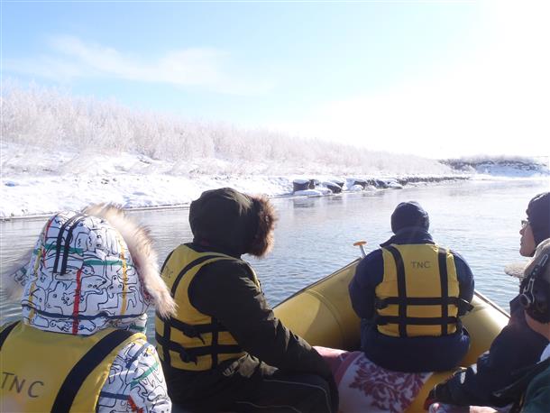 様々な野鳥との出会いが待っています